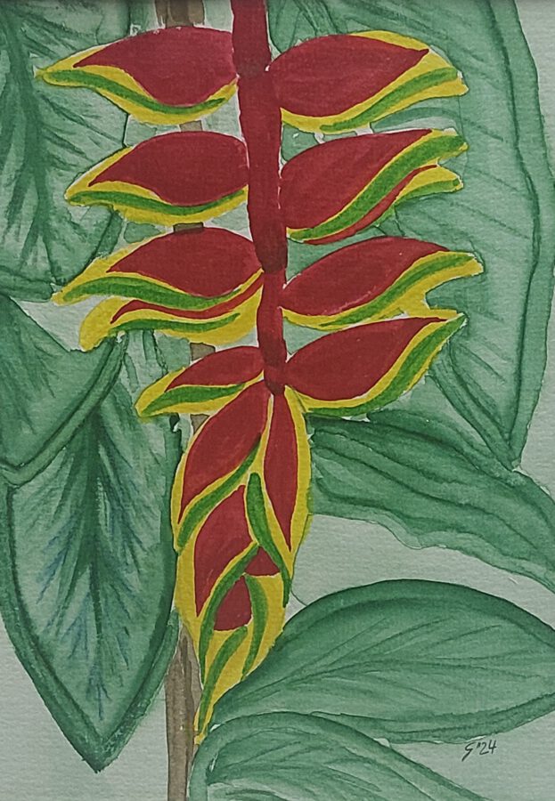 Heliconia