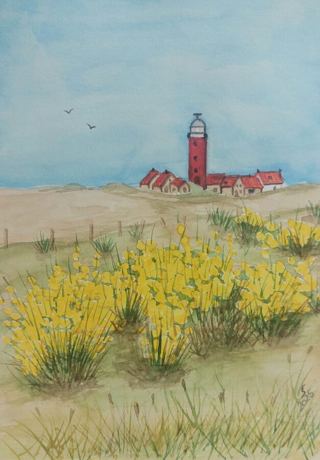 Ginsterblüte am Leuchtturm, Texel