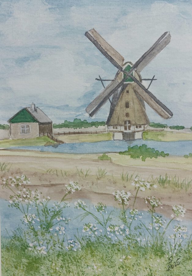 Windmühle in Oost, Texel