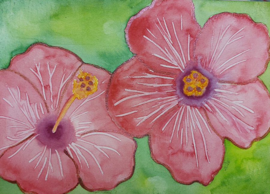 Hibiskus