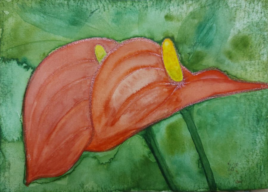 Flamingo-Blume
